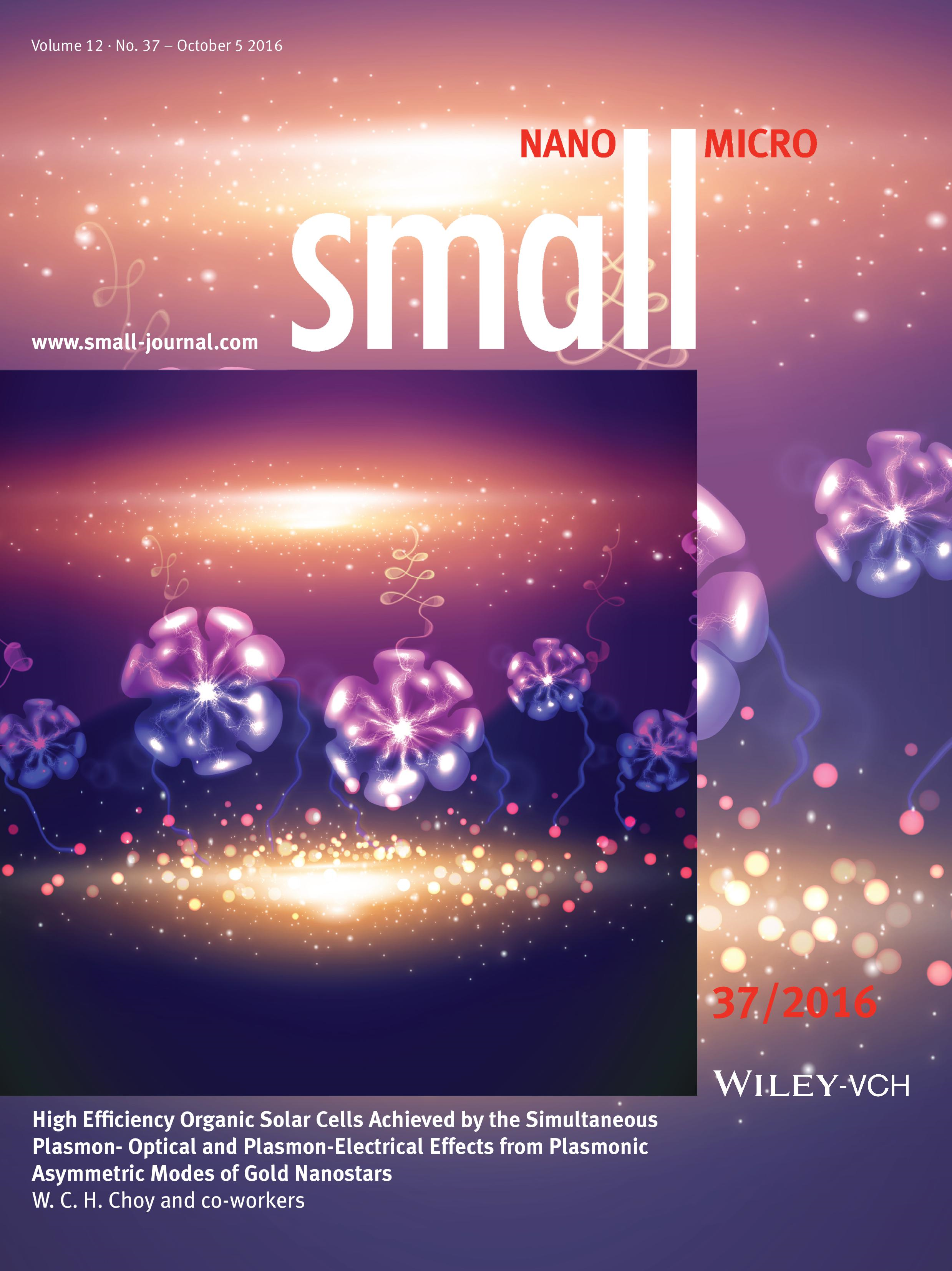 Small Cover 12