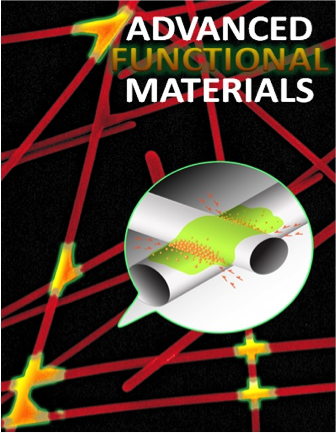 Advanced Functional Materials Cover 3