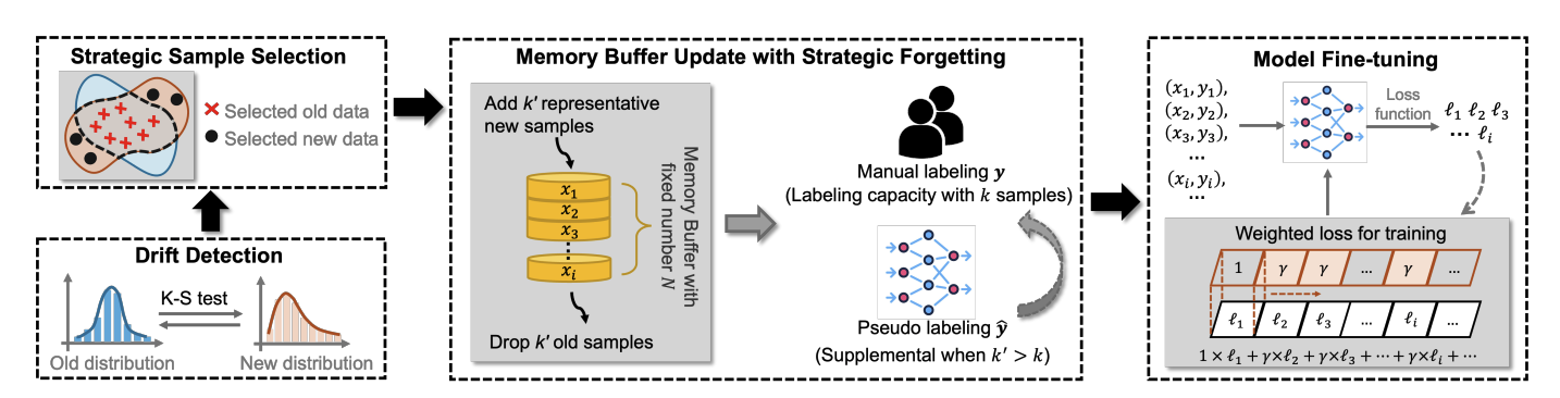 Continual Learning with Strategic Selection and Forgetting for Network Intrusion Detection