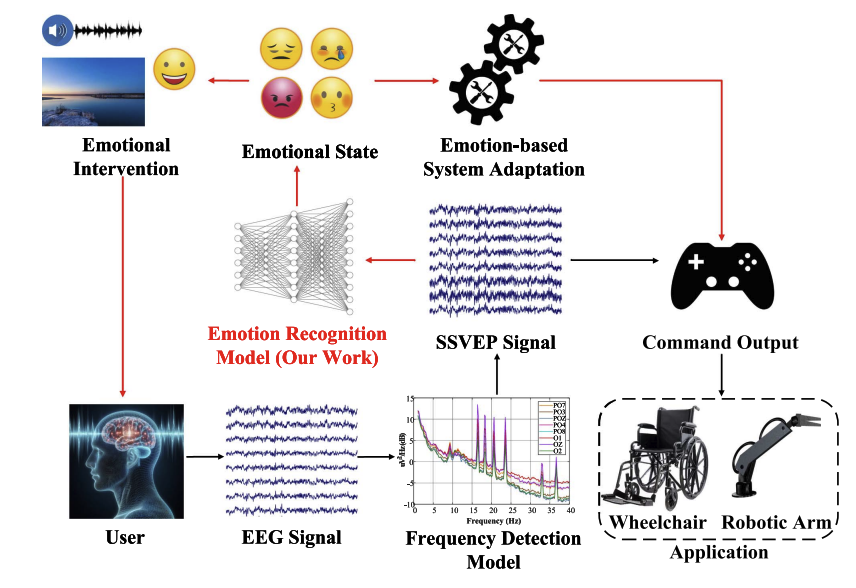 Valence-Arousal Disentangled Representation Learning for Emotion Recognition in SSVEP-Based BCIs