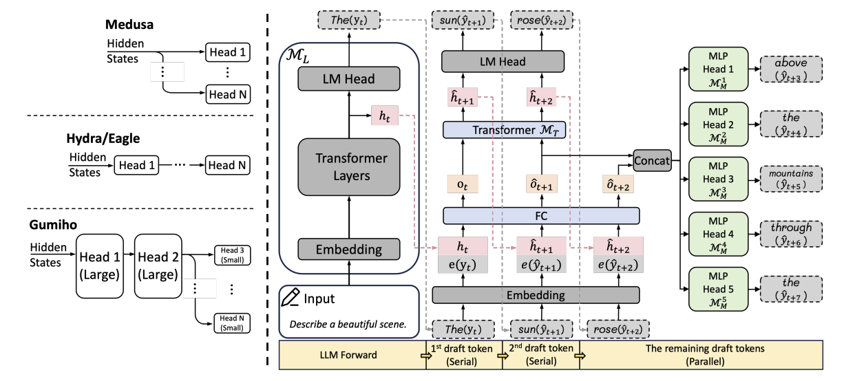 Gumiho: A Hybrid Architecture to Prioritize Early Tokens in Speculative Decoding