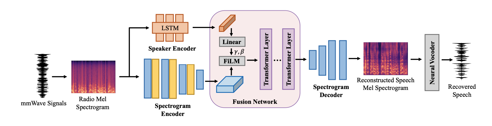 SPACE: Speaker Adaptation for Acoustic Eavesdropping using mmWave Radio Signals