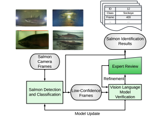 Exploring Multimodal Foundation AI and Expert-in-the-Loop for Sustainable Management of Wild Salmon Fisheries in Indigenous Rivers