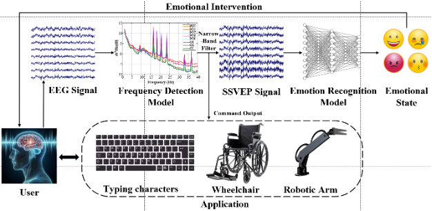 Emotion Recognition in Steady State Visually Evoked Potential-based Brain-Computer Interfaces